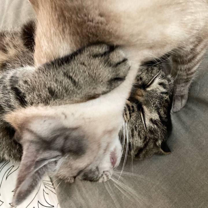 5032d97e fc78 4c1c 9f23 de11301293c0 1652485728771