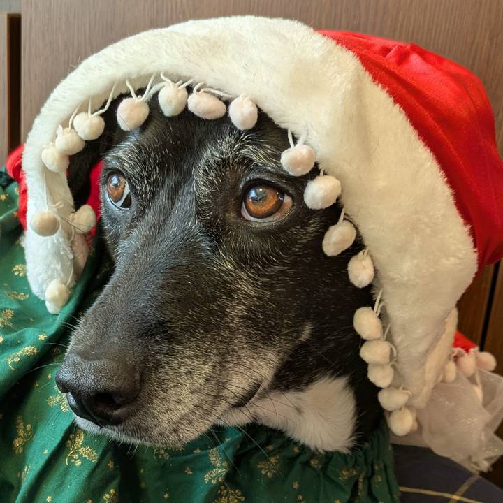 5032e90f edcc 4075 a52d 60d5e0b8cc1f 1766532373223