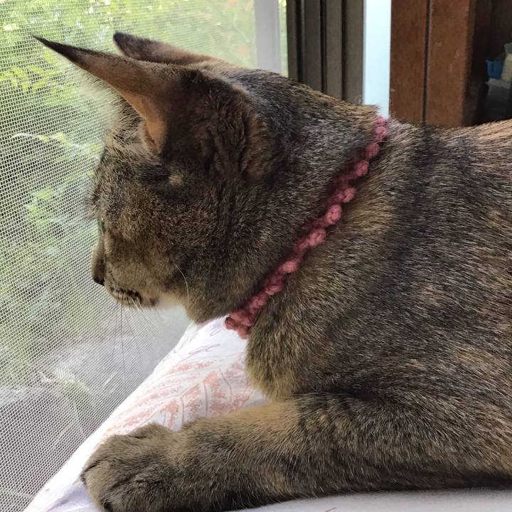 5032f83b 8d26 4a0c 8de7 58477f4d34d6 1588333542915