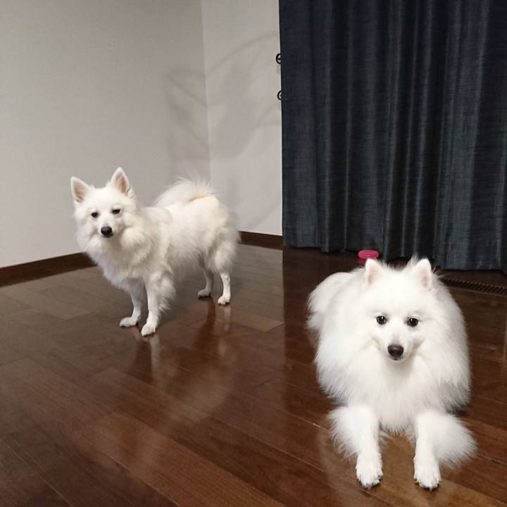 503354cb 432f 41d5 94a2 97e3ced1e8f2 1566372611504