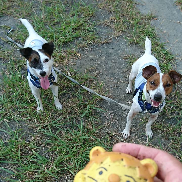 5033a7f2 c5c2 4715 b827 3b00f56b23e9 1565300490220