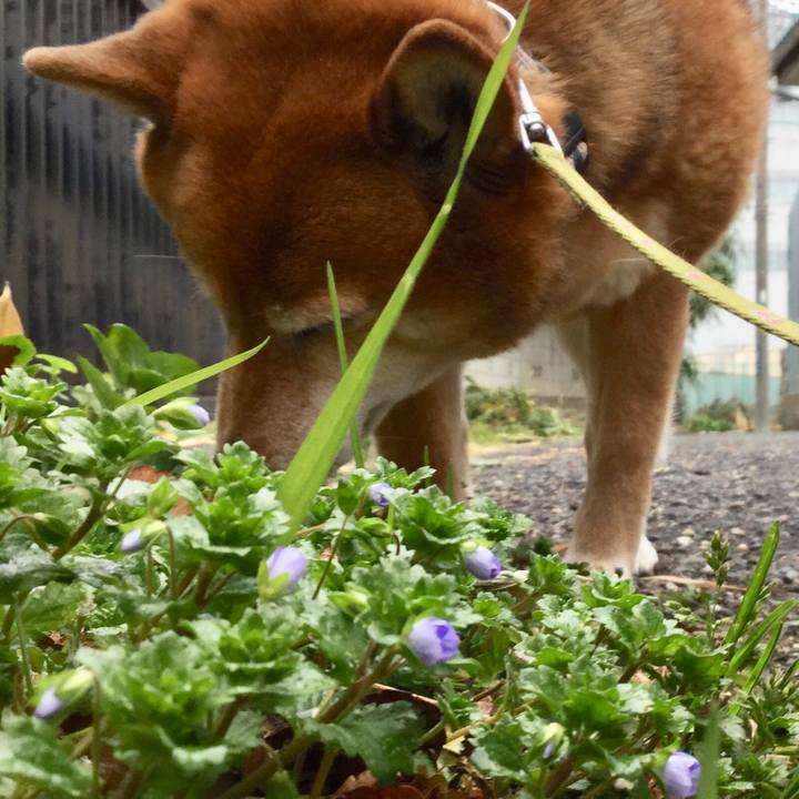 5033c098 6268 40ff b639 034f37a0a161 1581565543820