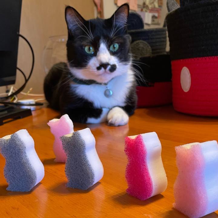 5033c5e3 a49a 4d7f 8d55 9b014a5af5a1 1771481954340