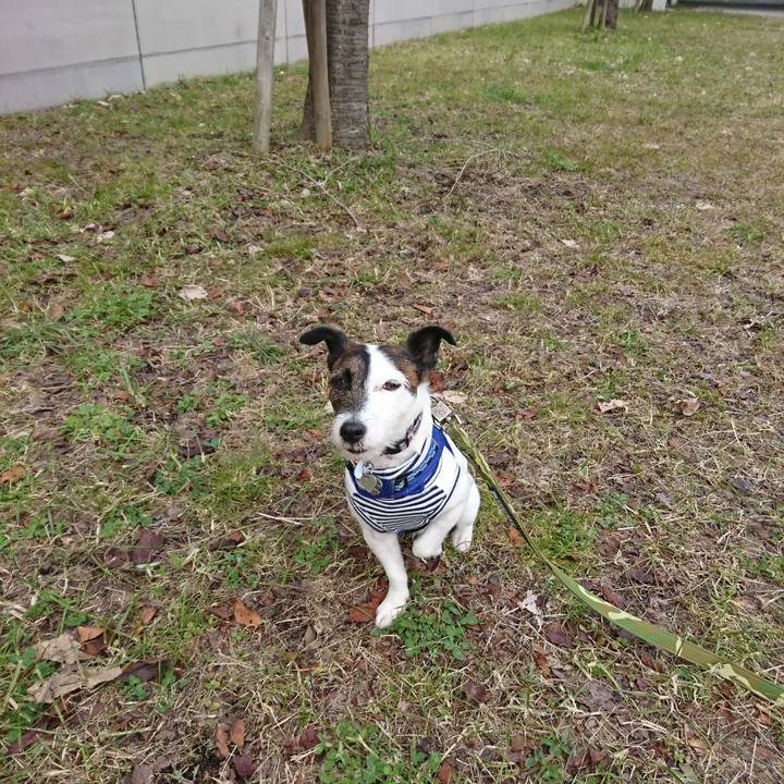 5033d23c 770f 486f 9fad d5238a464512 1517706112097