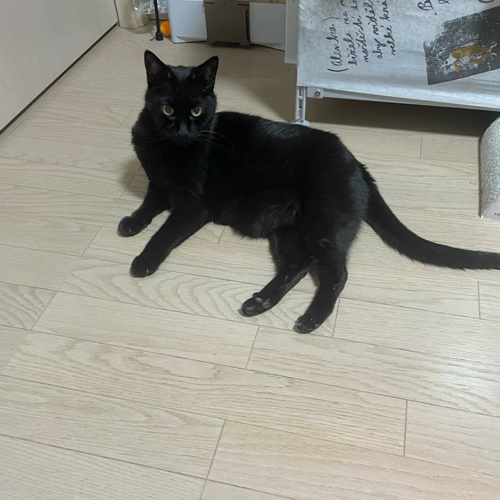 5033fee1 4f6e 48fc bf8d 7db763eaf4b4 1773407958263