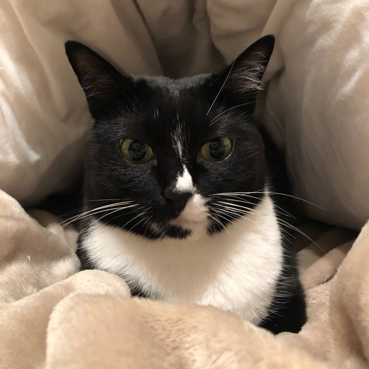 50346979 77ae 4968 a2eb 386c9118023b 1576103527247