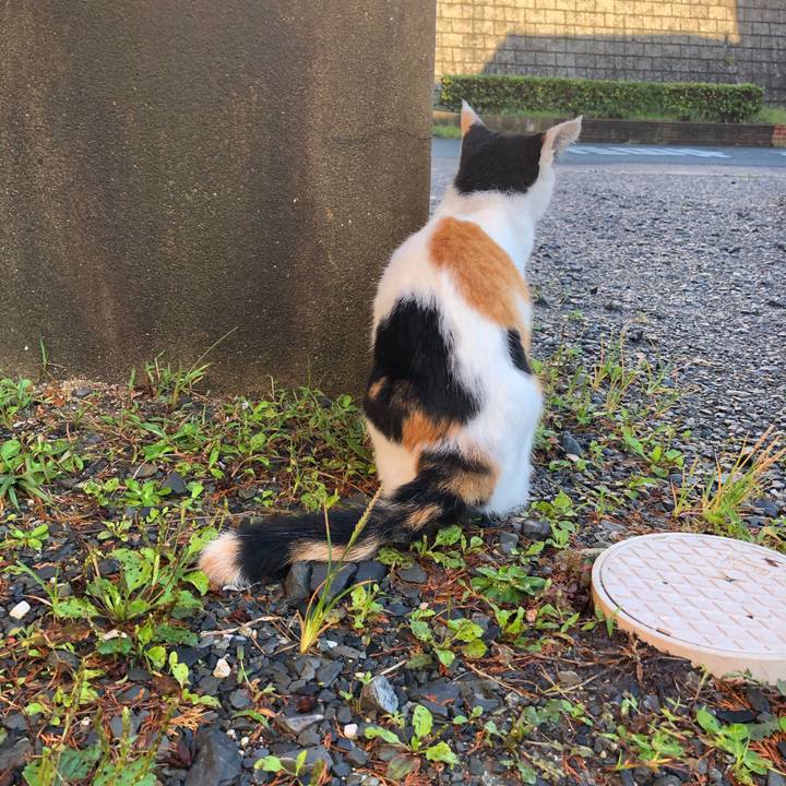 503469f0 fc2a 4bb7 b85b 7d92c8fbf93b 1600986328589