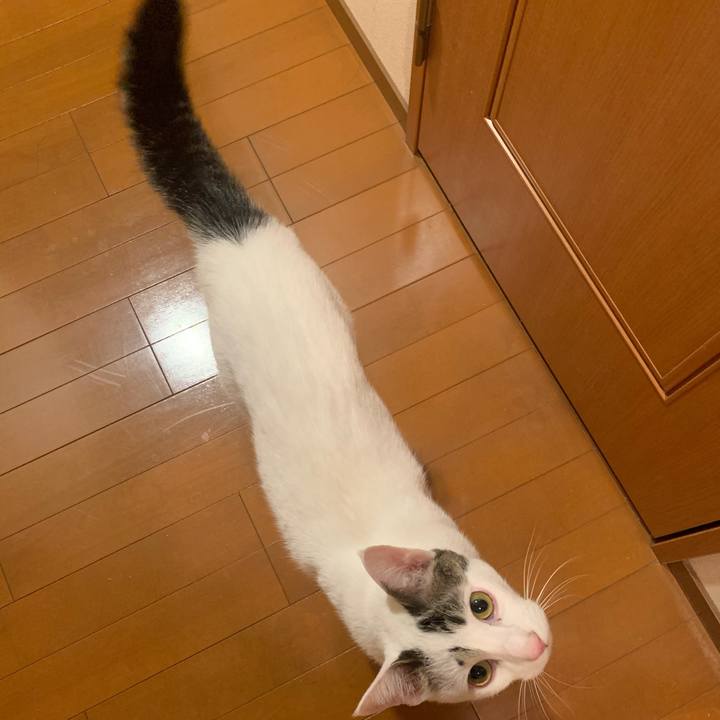 503472e4 dddc 4bc3 ad8d 94d7a37a9b8e 1615296905098