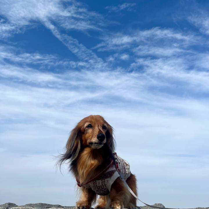 50348098 c686 4592 b66c eb5e281711b5 1771064646096