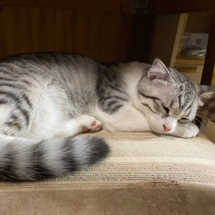 5034855f a6b7 4d70 ba21 a164f7f288ff 1600733853438