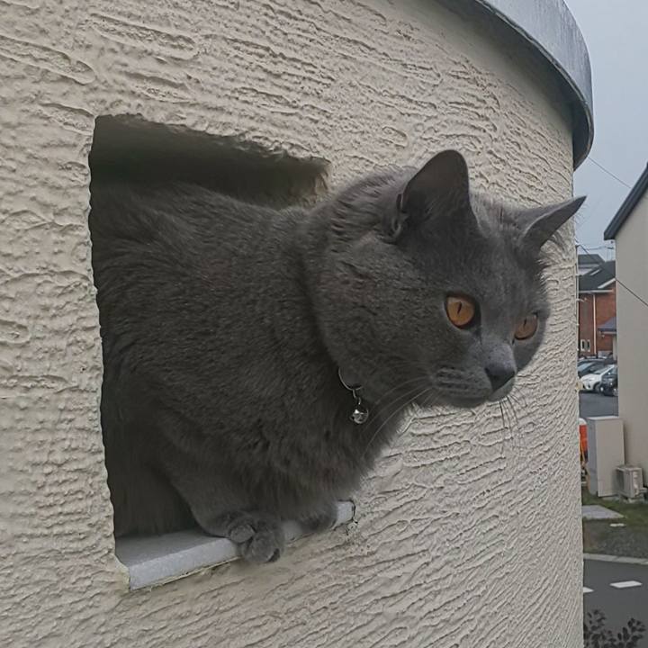 503490a6 62f5 4d7e af55 64dff0eff170 1591332896206