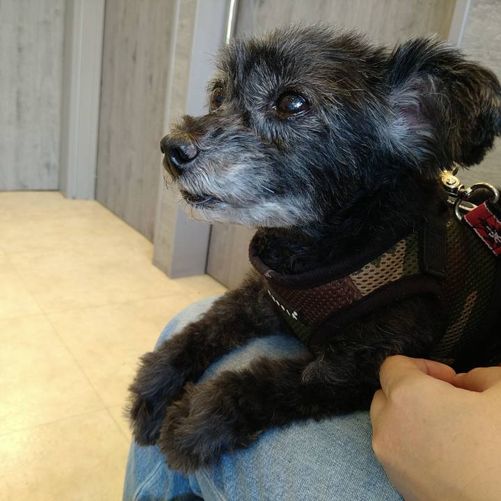 50349c3a 9016 455d bbbd ac595fbb0e0d 1691819818470