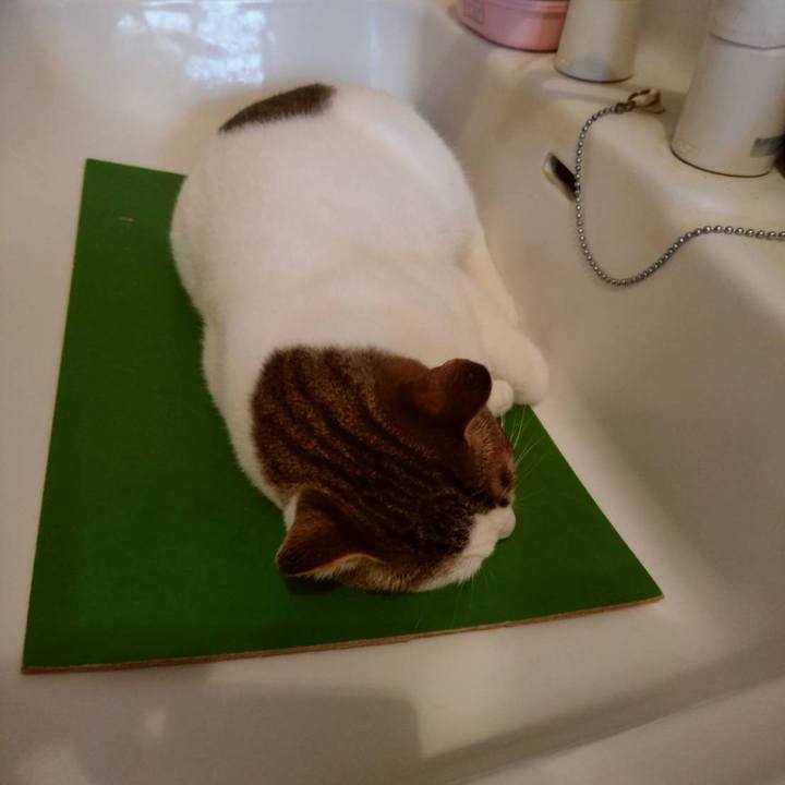 5034adfb 12e0 4a31 9917 a1fd5f06c2e4 1670632916285