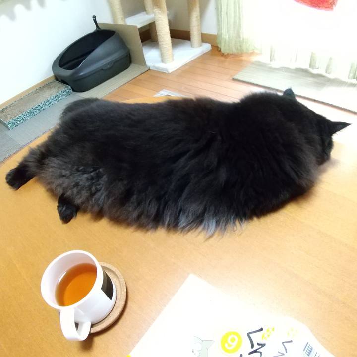 5034ae36 5d46 4b2c 8cce d2809a0b3cf0 1657784398139