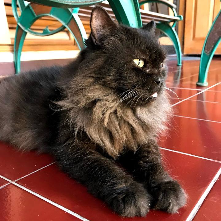 5034cf5c c002 4dce 8a34 fa87b601aa93 1763029266252