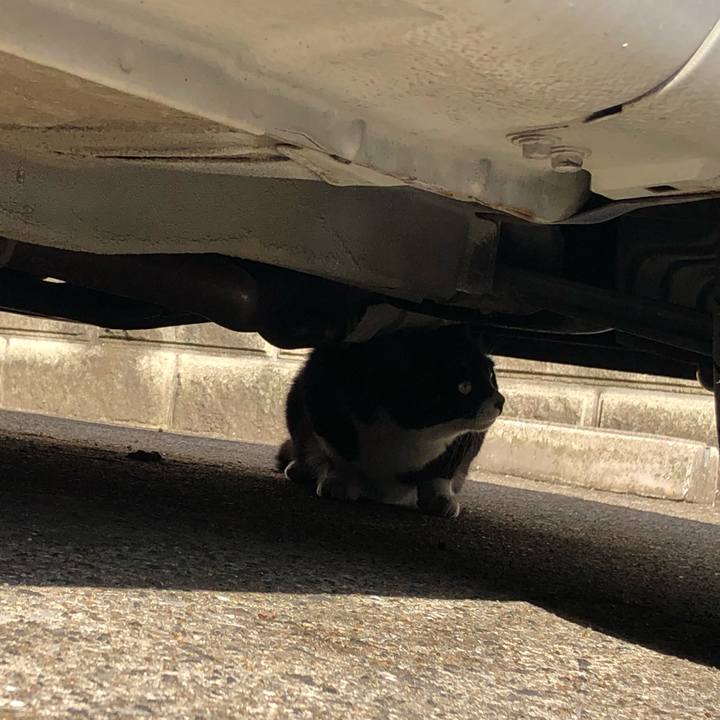 50353044 b474 4765 b8b7 b3cb11d4a9c1 1553089491400