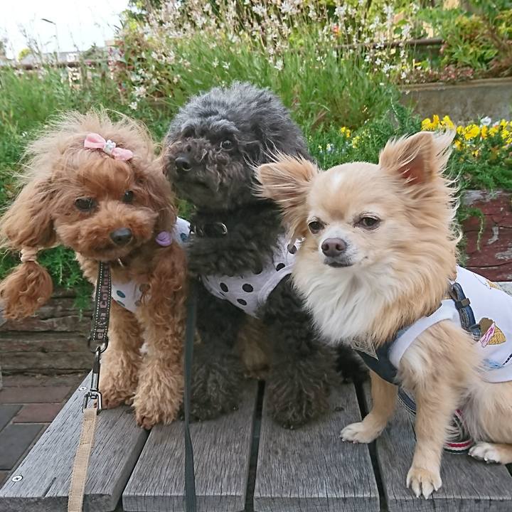 50354772 82b2 4e4e 9349 38ea7add8fa0 1558348273516