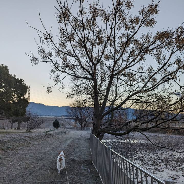 5035478c 7bf0 47a3 bffe 32d3fc9f1450 1675125719123