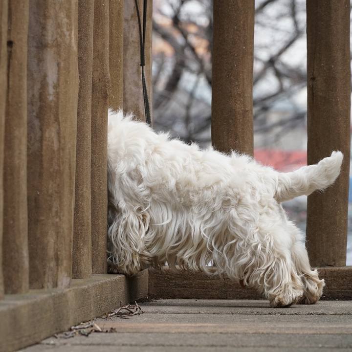 5035792e 258c 41d2 a56a 5513e726b122 1519859442930