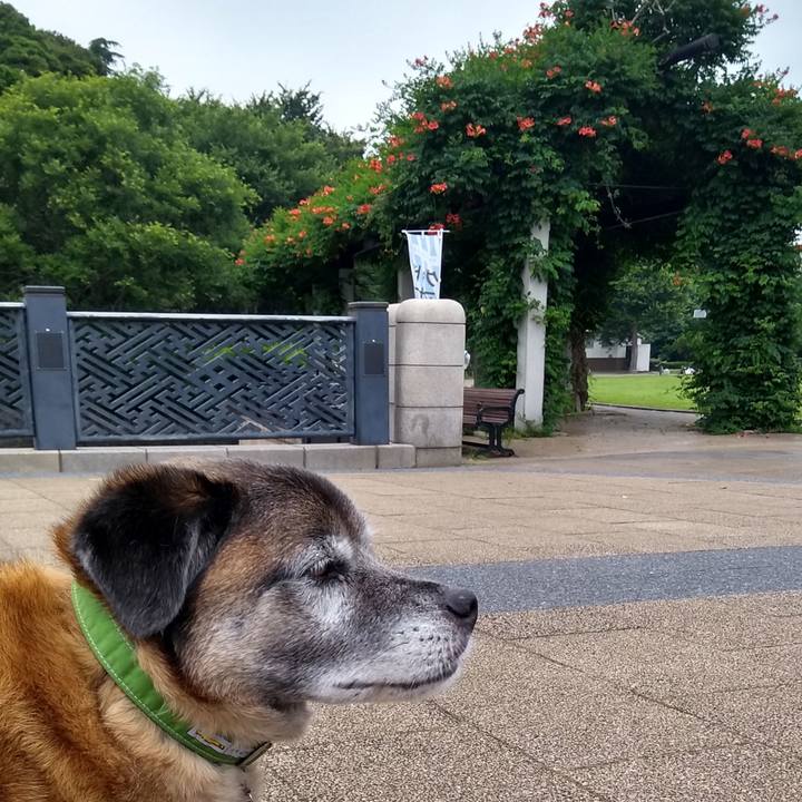 503590a7 24c6 441f ae3c ac3aa515c472 1560987990087