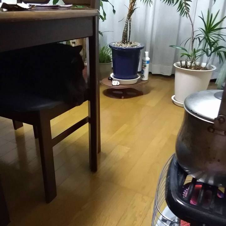 5035b848 1270 479d bbf9 426eb392baaf 1517802971890