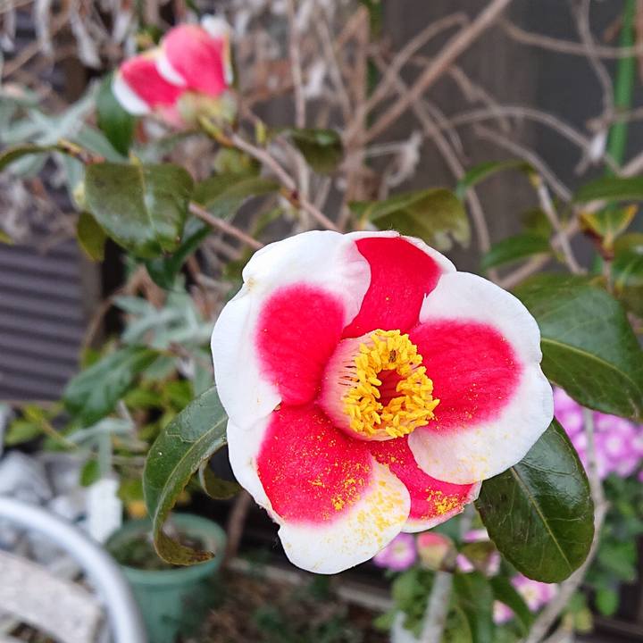 5035dfd5 53a9 4705 8494 22b193094898 1613480110202