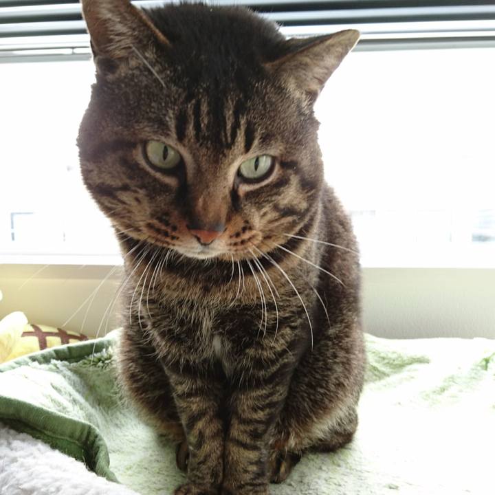 50360502 5bff 4d57 ac9c d2bf9bf78827 1581027106282