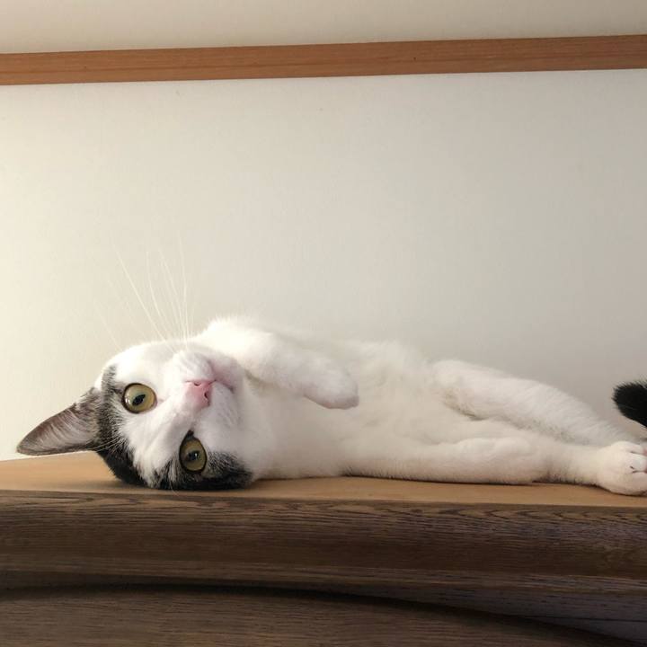 50360a40 43fa 4e79 b1f4 650412285afb 1592096730176