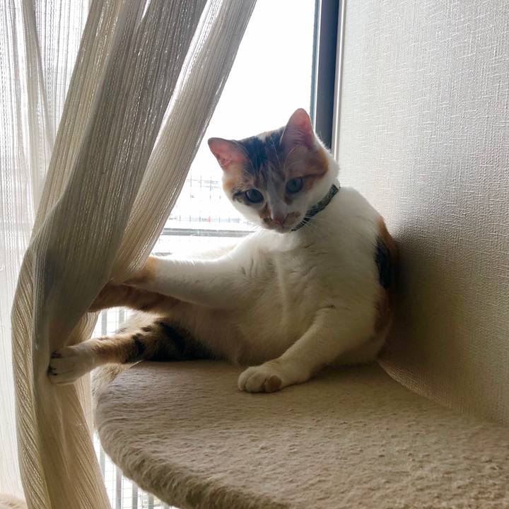 50363bb7 d75a 4097 bcc0 c741b6d78fbe 1592904359358