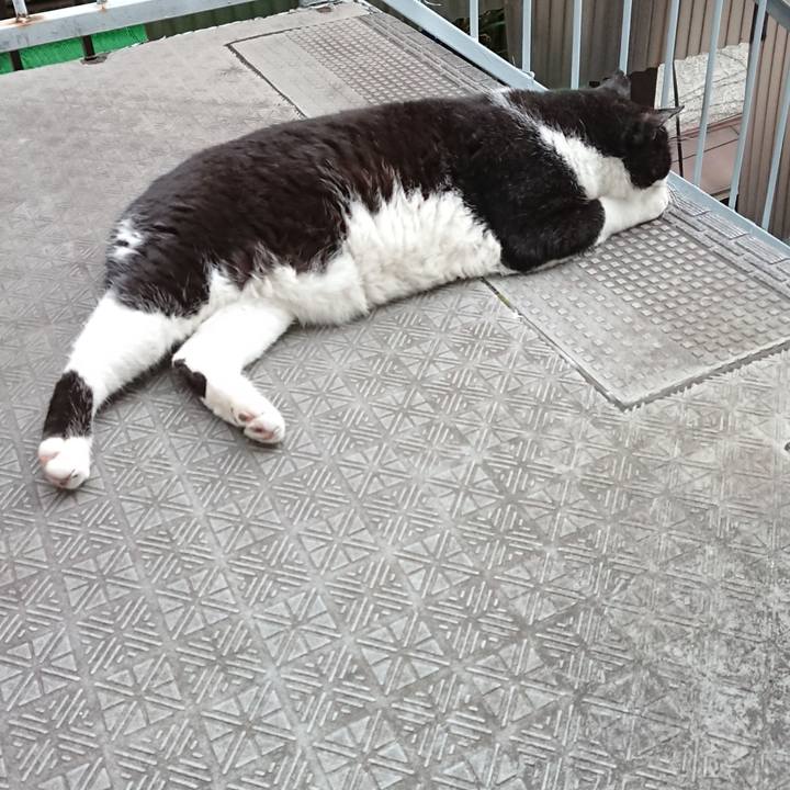 5036490f 74a2 4ca4 bc86 c3c14ebd0fe7 1624956958164