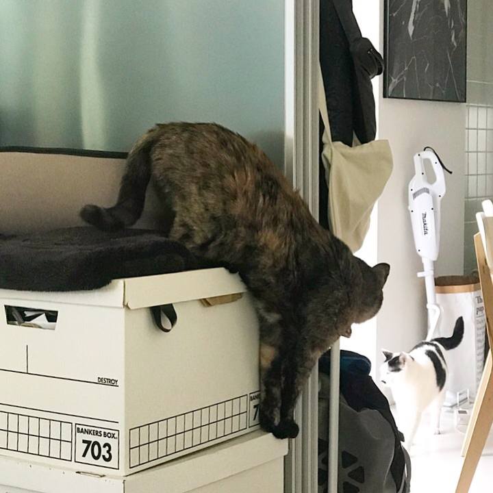 503671fc 54a8 4d56 bb1a 528357c74bcc 1525651994668