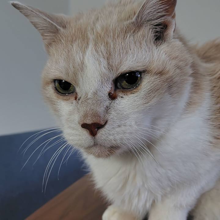 5036a77e d8df 4b32 8bb9 668a9ddd1418 1769466177429