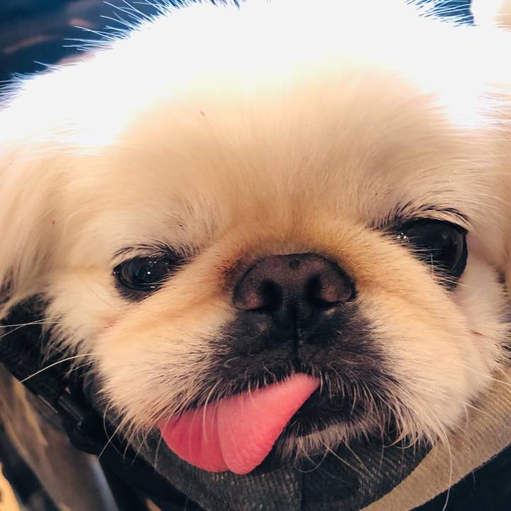 5036be38 d1f5 48ad 98c0 00378ca24111 1624013433093