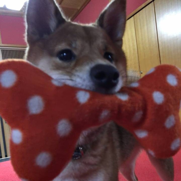 5036dfff 61c2 4d55 8a75 fdb5b362954f 1519362505575