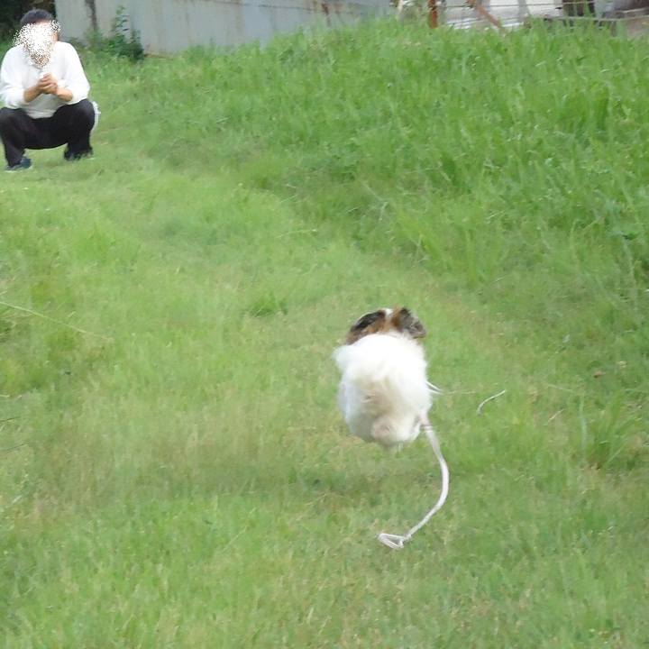 50371cdd 6c03 46d4 af01 0b972092faf7 1518678910079