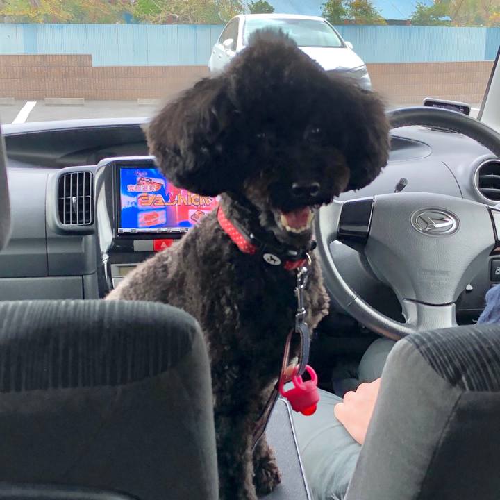 50372897 22c3 4c00 9167 8317d14ad45d 1586074803946