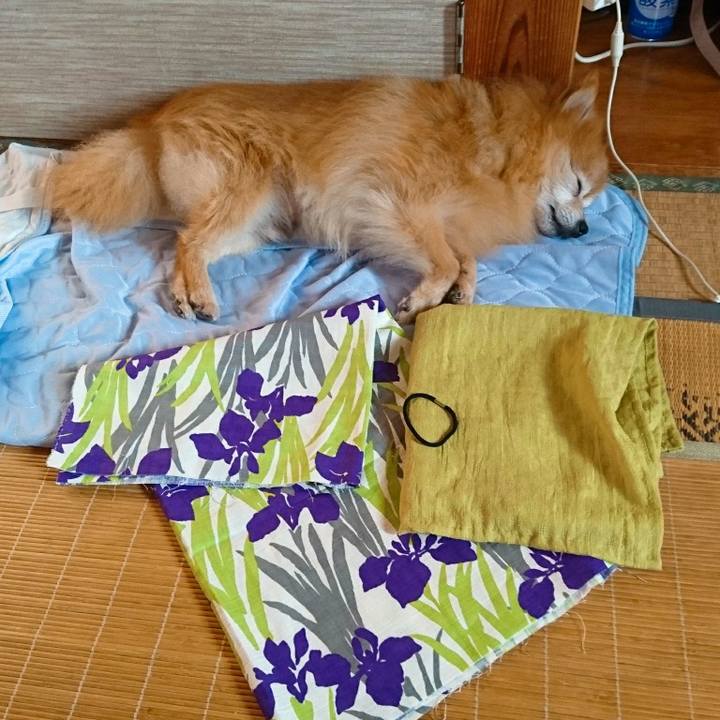 50372ded 17c5 49cb 9a86 16f192a86f8d 1533372054500