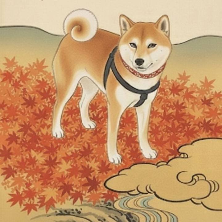 50375812 20dd 4175 9c2f d6579fe7d416 1768355226474