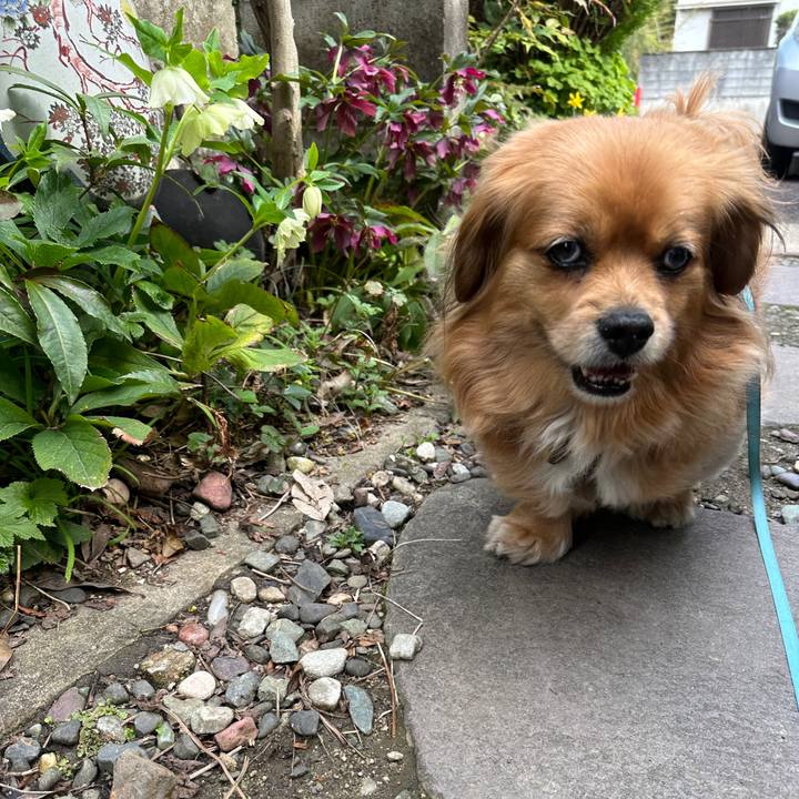 503782e1 f256 43da 925c 36a7d5a74fc2 1679435541763