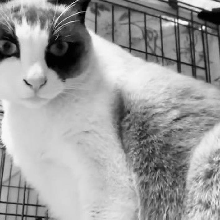 5037b568 c58d 48db a036 72df69d1b143 1740052071432