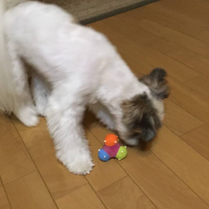 5037c4d5 e4bb 4f5a a19e 05b144570935 1507931234180