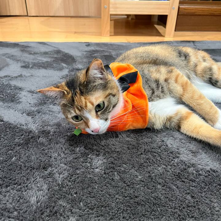 5037f750 b3c6 4525 a32f a32b5af37523 1651284228591