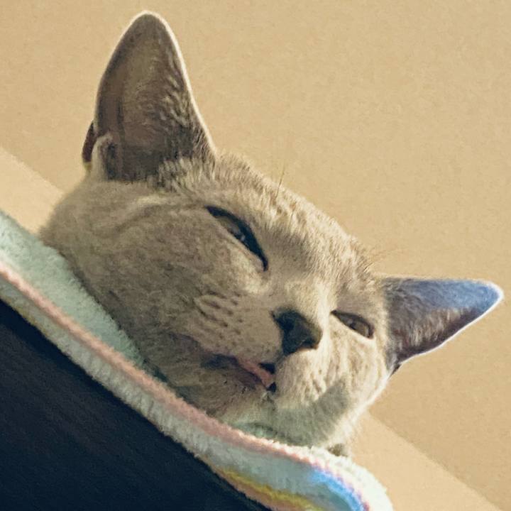 5037fac9 5bfb 4203 9fe5 90a916c0ed55 1622785530031