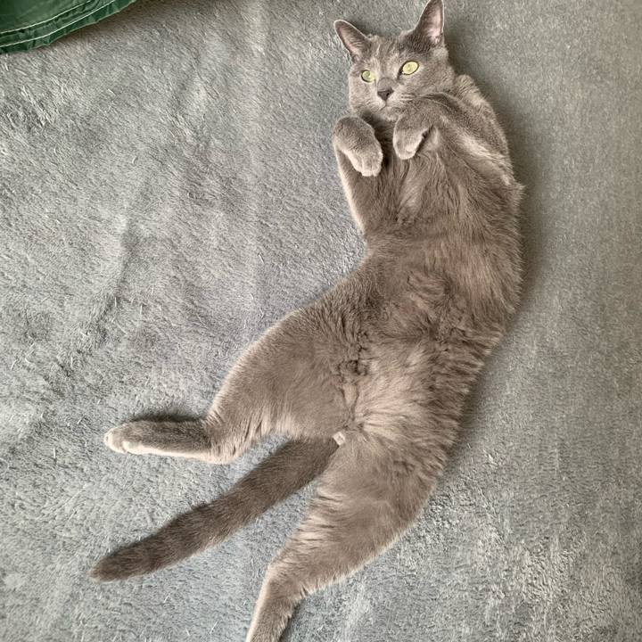 503817cf 8030 4549 ba58 8794ca8f765d 1660355400219