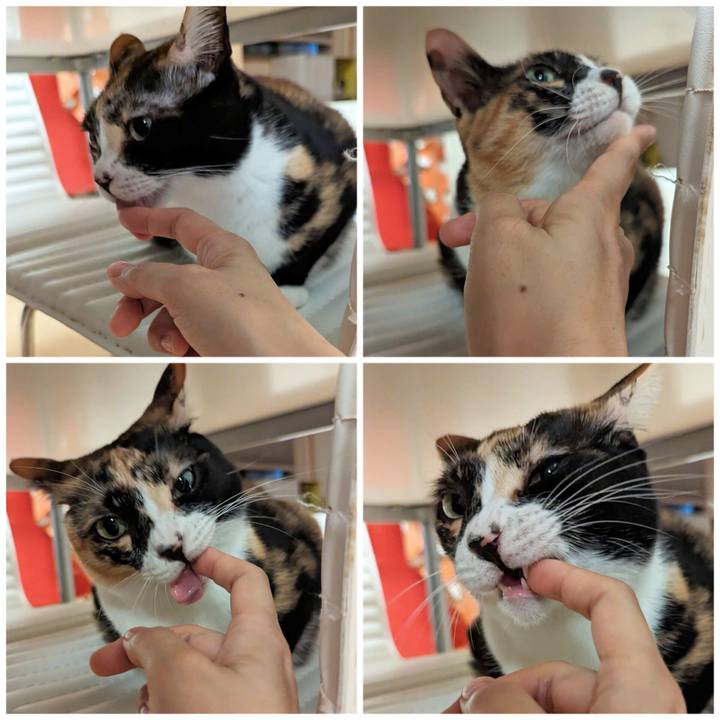 50382533 4127 4aea 9a63 fb4f810be73f 1693540501889