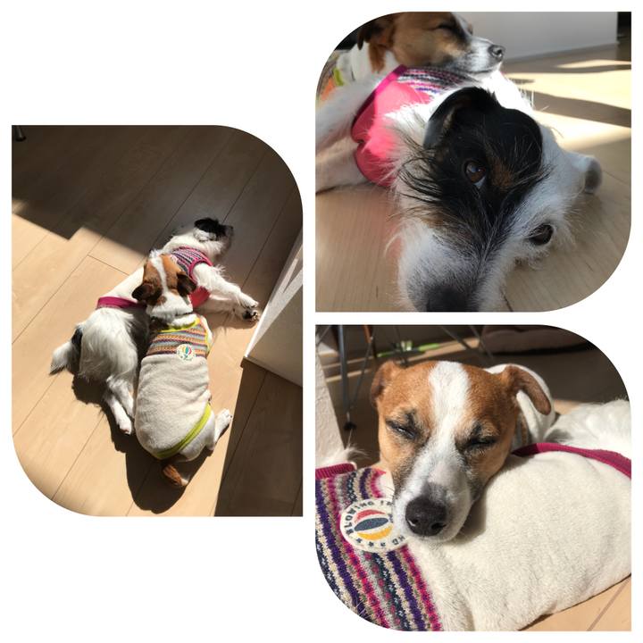 50384523 9cd4 4cd3 90f5 cb0239a7ce4d 1518491435349