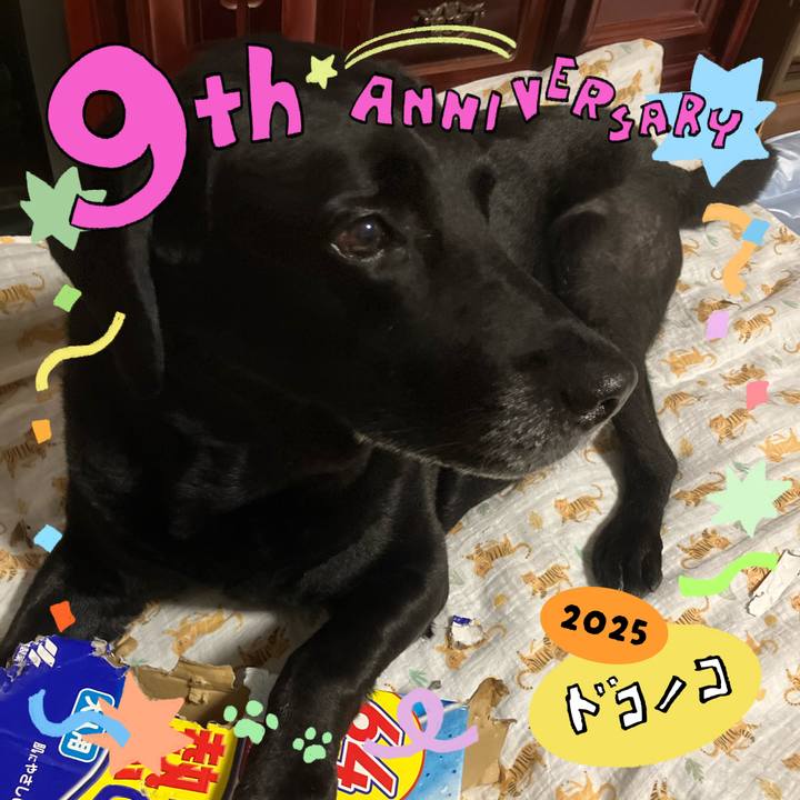 503878c2 0842 4868 8dfb cc17f7741491 1749306081662