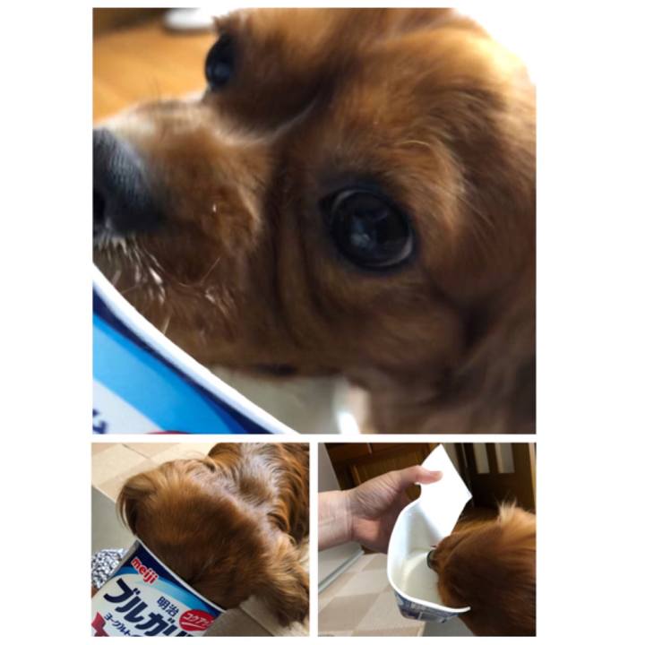 5038cbe3 ab4a 4f20 a19a 97be66502e24 1560378054753