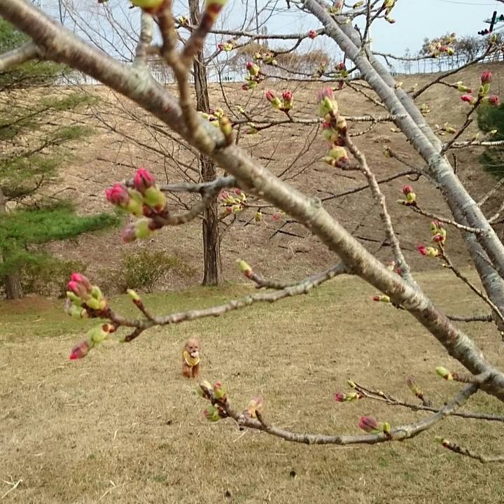 5038cc8d cd81 4dec 8603 e6e8329506b5 1522309318150