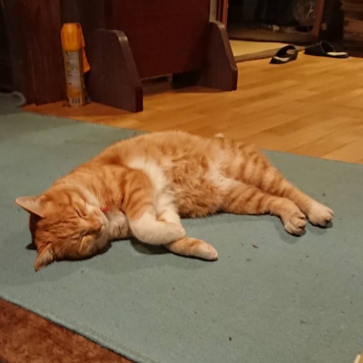 50391a45 20a6 4415 8ec3 d66932fc9ee5 1575968822456